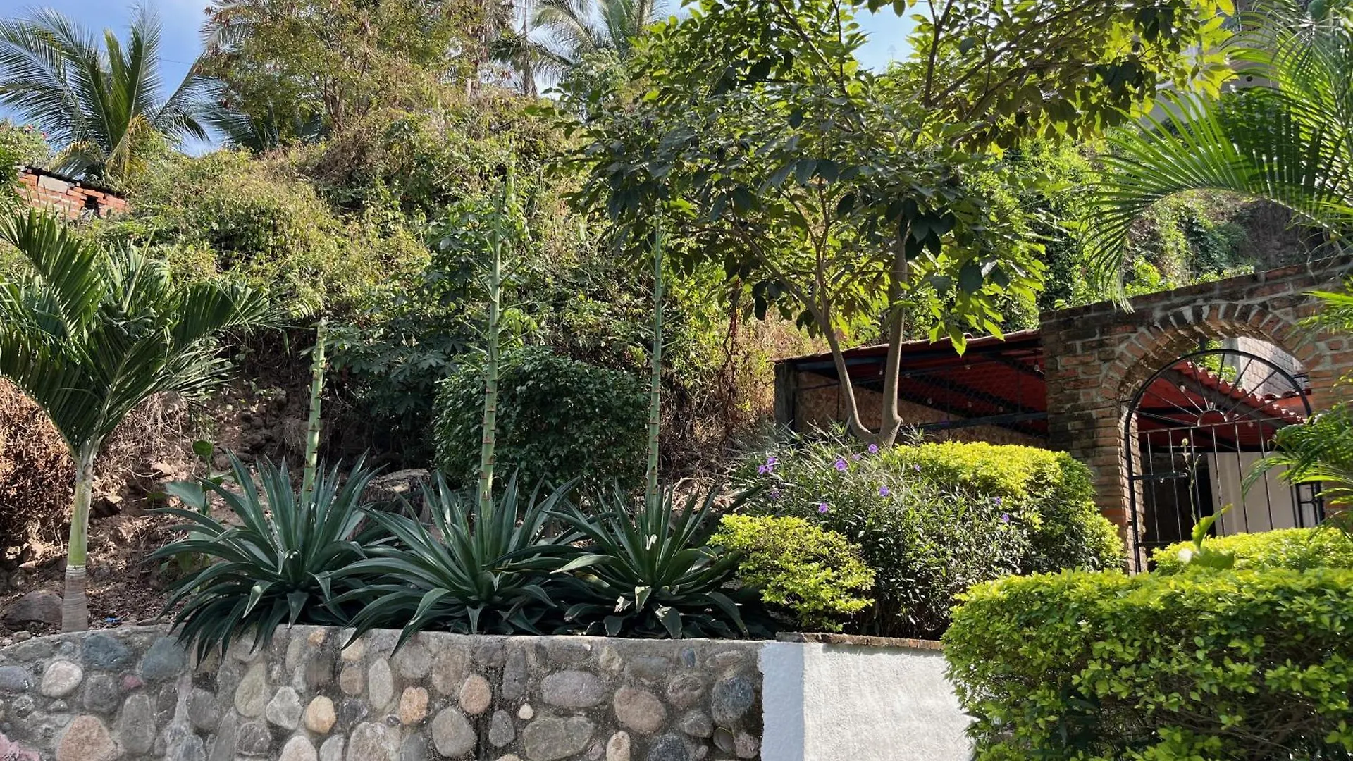 Villa Palmier -Quiet Cosy Air Conditioned Terrace بويرتو فالارتا